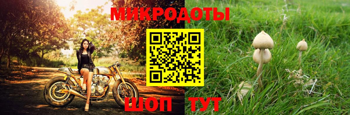 Галлюциногенные грибы прущие грибы Семёнов