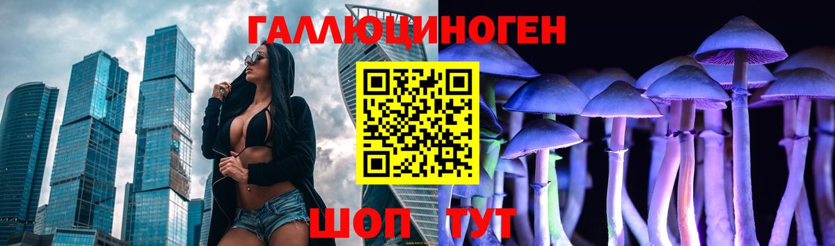 Псилоцибиновые грибы MAGIC MUSHROOMS  Вход с VPN  Семёнов 
